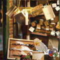 Hedwig tycks ha gömt sig i byggsatsen Magic Wand Shop