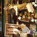 Hedwig tycks ha gömt sig i diorama-byggsatsen Magic Shop