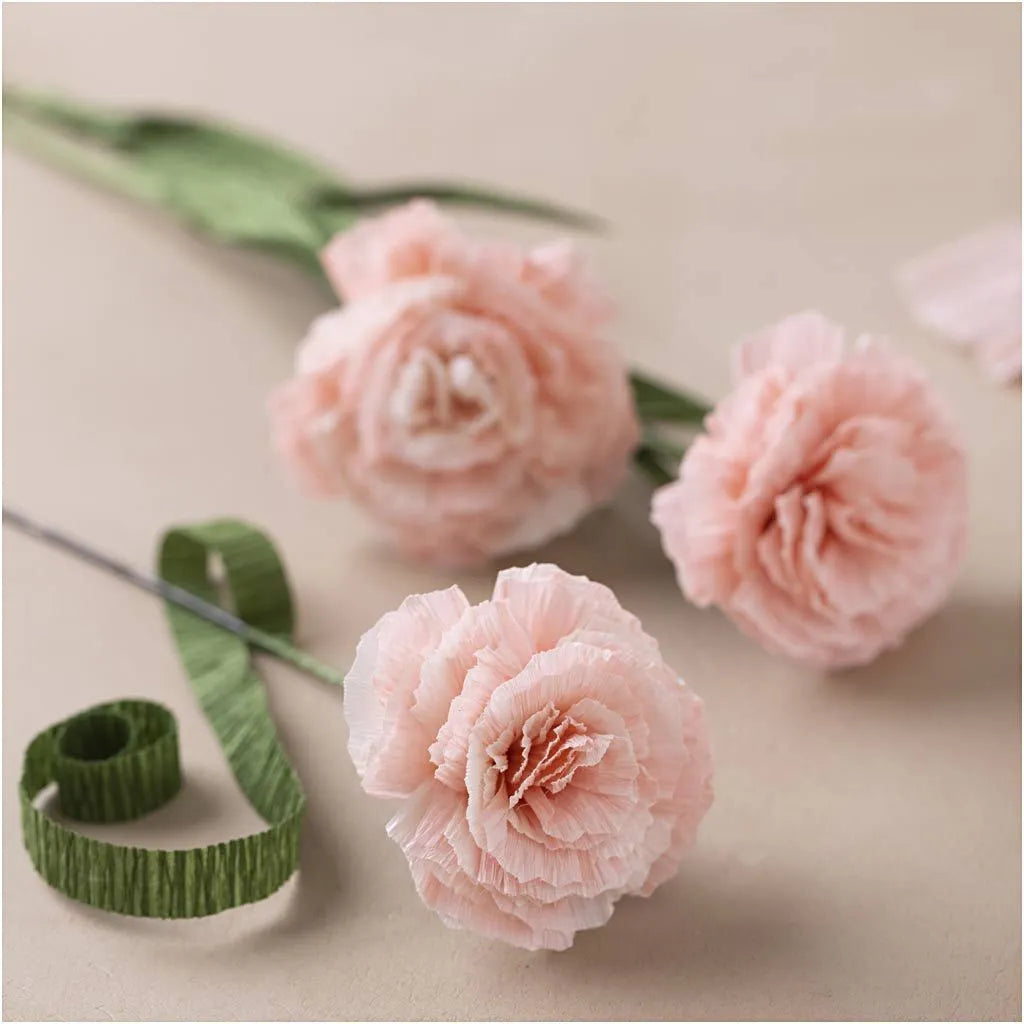 DIY Kit: Crepe Paper Flowers (Carnations)