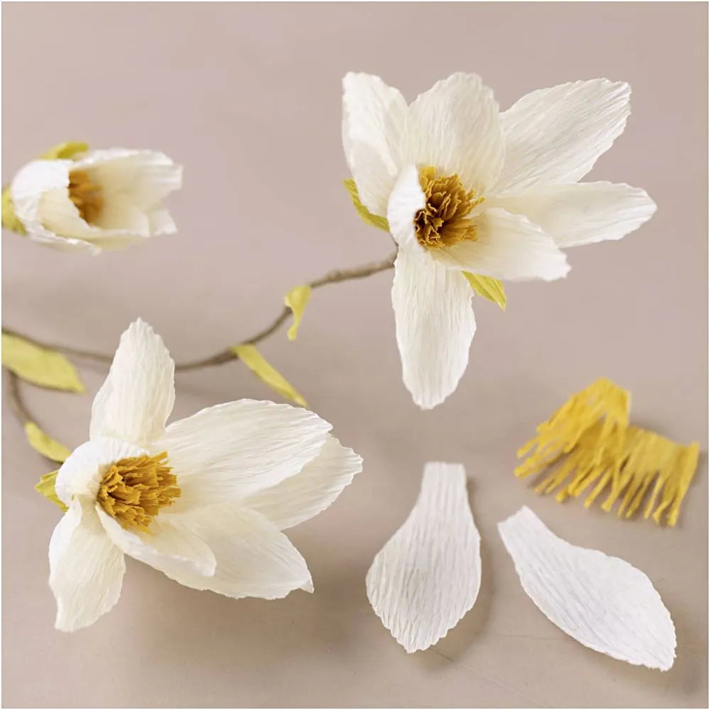 DIY kit: blommor av kräppapper (magnoliakvist)