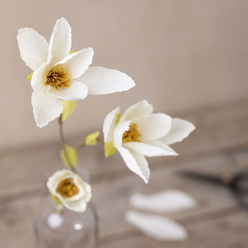 DIY kit: blommor av kräppapper (magnoliakvist)