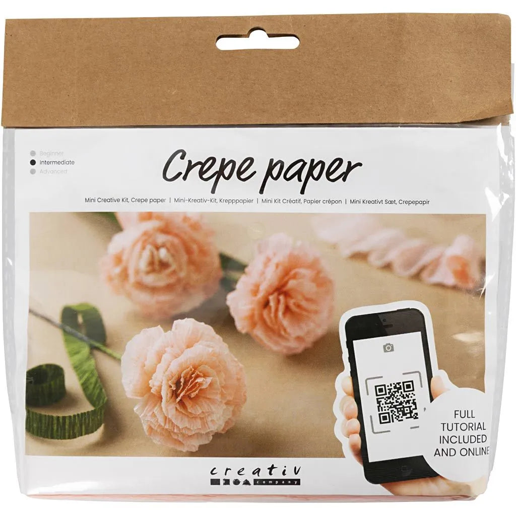 DIY Kit: Crepe Paper Flowers (Carnations)