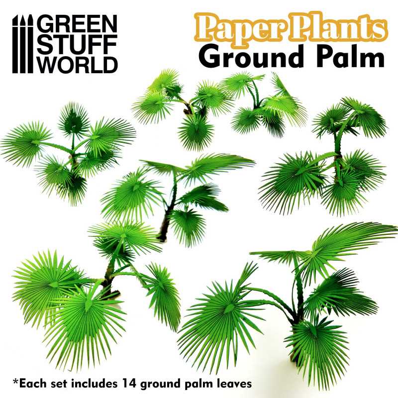 Mini plants – Palms